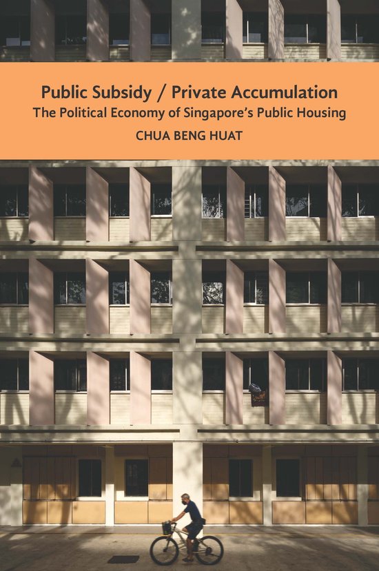 Public Subsidy, Private Accumulation - cover