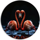 Flamingos wandcirkel - Dieren muurcirkels - Wandbord Water - Muurdecoratie klassiek - Wanddecoratie rond - Muurdecoratie muurcirkel forex 60x60 cm