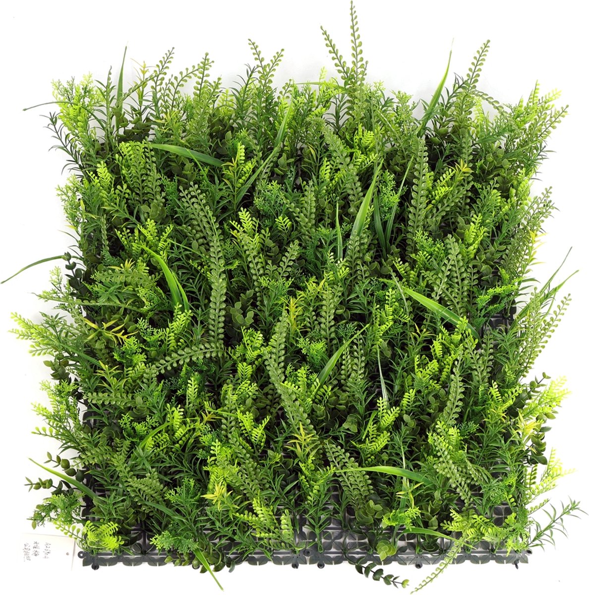 Curaçao | FOLY - 50 x 50 cm - Green wall voor decoratief binnen en buiten gebruik - Tropische kunsthaag - 5j UV garantie - JIVANA