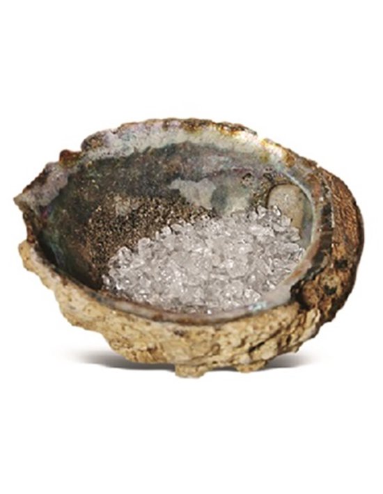 Abalone - Oplaadschelp - Incl 100 Gram Bergkristal - Yoga - Mediteren - Wierook - Edelsteen - Chakra - Edelsteen