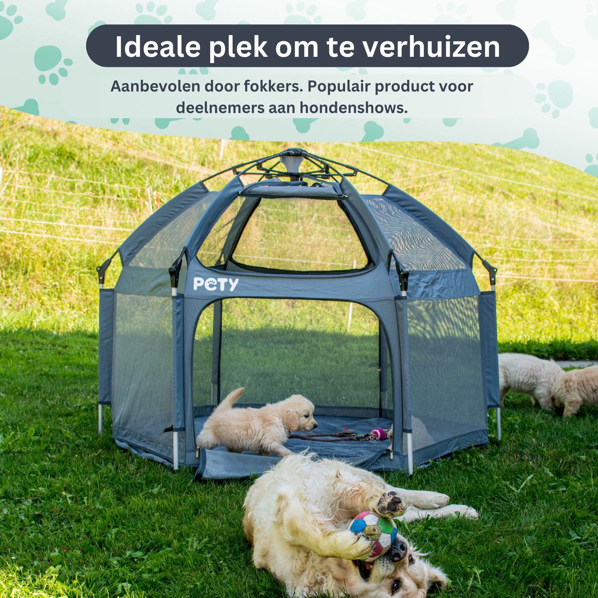 PETY Boxset hondentent, 150 x 100 cm, mobiel, UV-dak, vloermat, buiten/binnen, reisaccessoire camping, antraciet