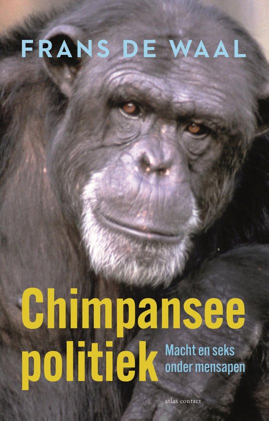 Foto: Chimpanseepolitiek