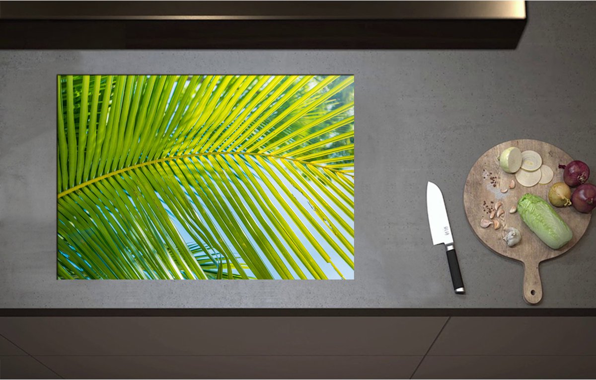 Inductieplaat Beschermer - Close up van Palmblad voor Blauwe Lucht - 75x52 cm - 2 mm Dik - Inductie Beschermer - Bescherming Inductiekookplaat - Kookplaat Beschermer van Wit Vinyl