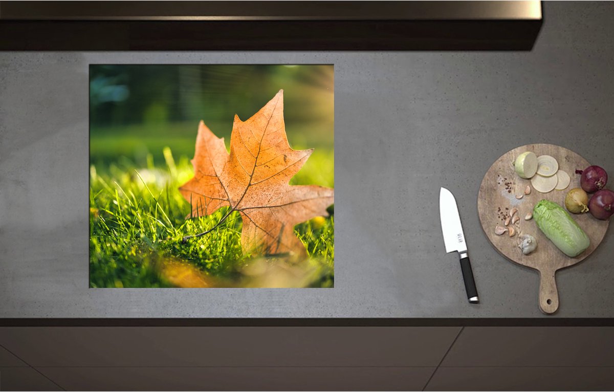 Inductieplaat Beschermer - Bruin Herfstblad op Groen Gras met Zonnestraal - 60x55 cm - 2 mm Dik - Inductie Beschermer - Bescherming Inductiekookplaat - Kookplaat Beschermer van Wit Vinyl