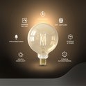 Gouden LED filament globe lamp met icoontjes voor app, spraak, dimmen, en timers.