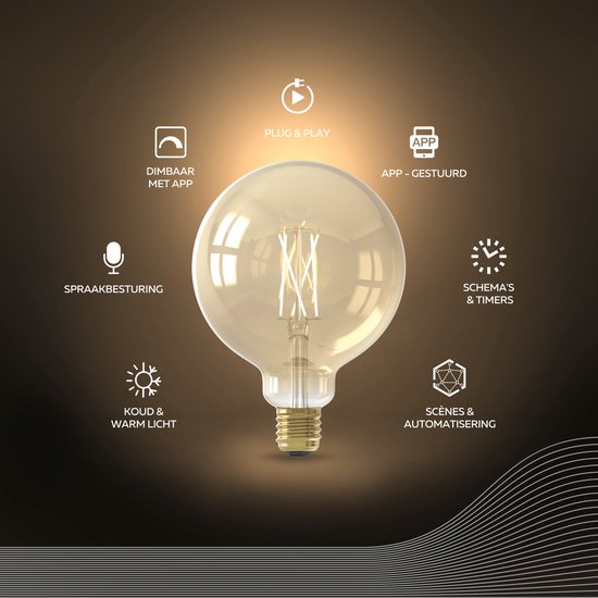 Gouden LED filament globe lamp met icoontjes voor app, spraak, dimmen, en timers.