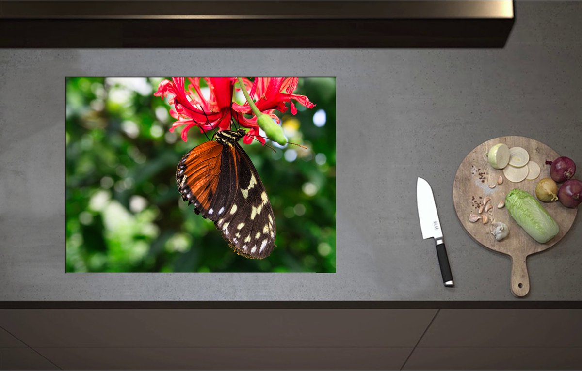 Inductieplaat Beschermer - Bruin met Zwarte Vleugels van Vlinder op Rode Bloeiende Bloem - 70x51 cm - 2 mm Dik - Inductie Beschermer - Bescherming Inductiekookplaat - Kookplaat Beschermer van Zwart Vinyl