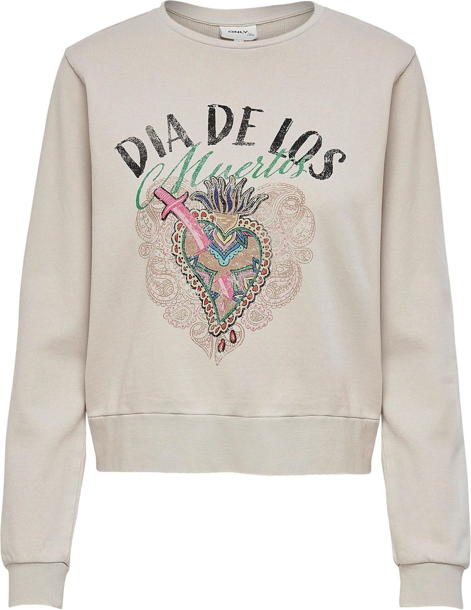 ONLLUCINDA LIFE L/S MEXI BOX SWT - Pumice Stone/DI