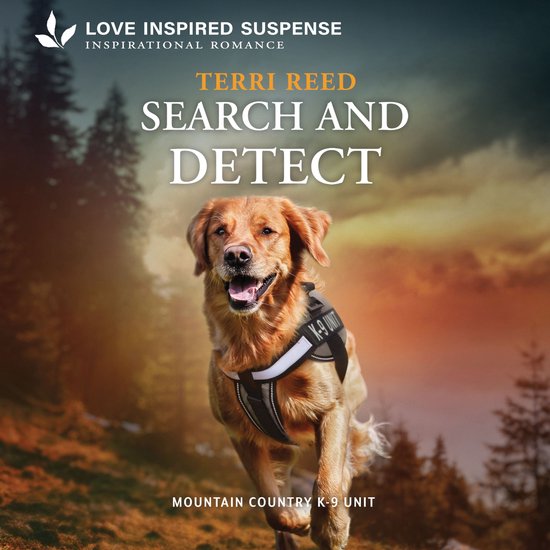 Search and Detect - cover