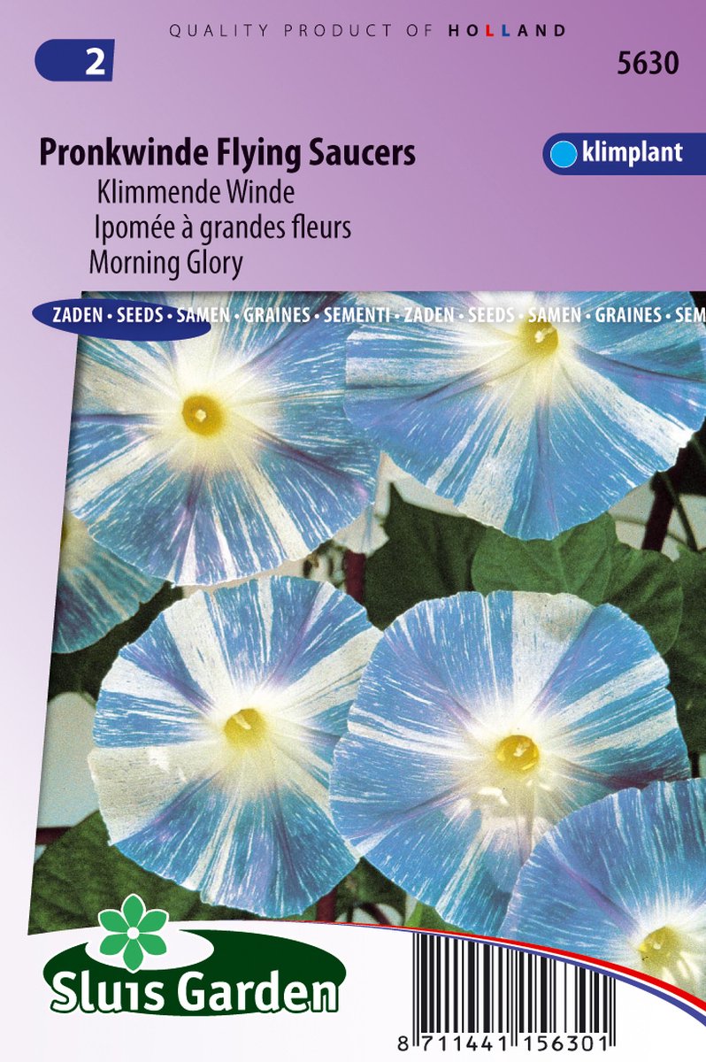 Sluis Garden - Pronkwinde Flying Saucer (Ipomoea)