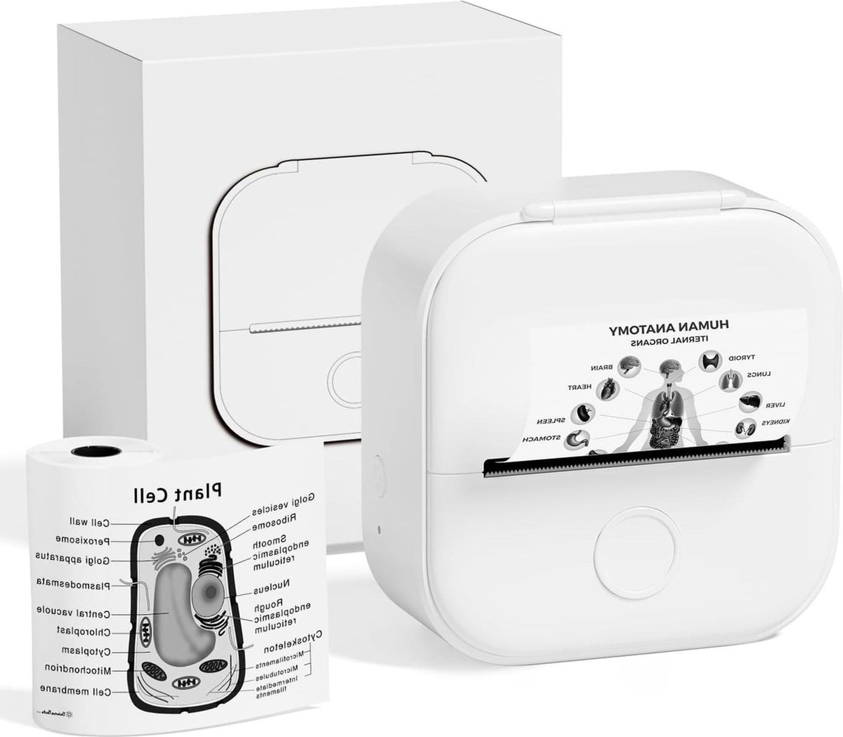 Mini-printer T02 fotoprinter voor smartphone- draagbaar en gebruiksvriendelijk