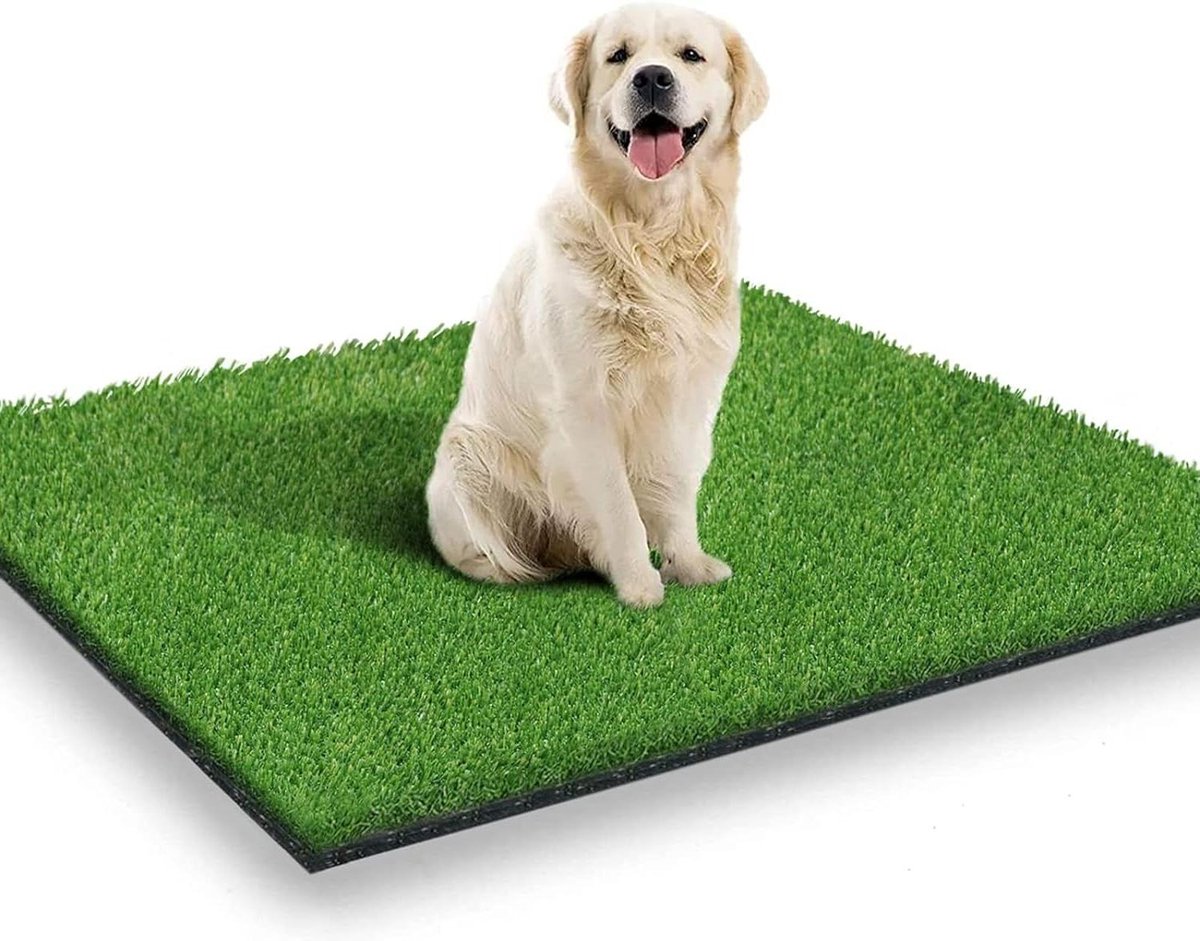 80 x 100 cm Kunstgras Tapijt - Gras voor Honden - Binnen Buiten - Nepgras voor Honden - Zindelijkheidstraining - Terras Gazon Decoratie