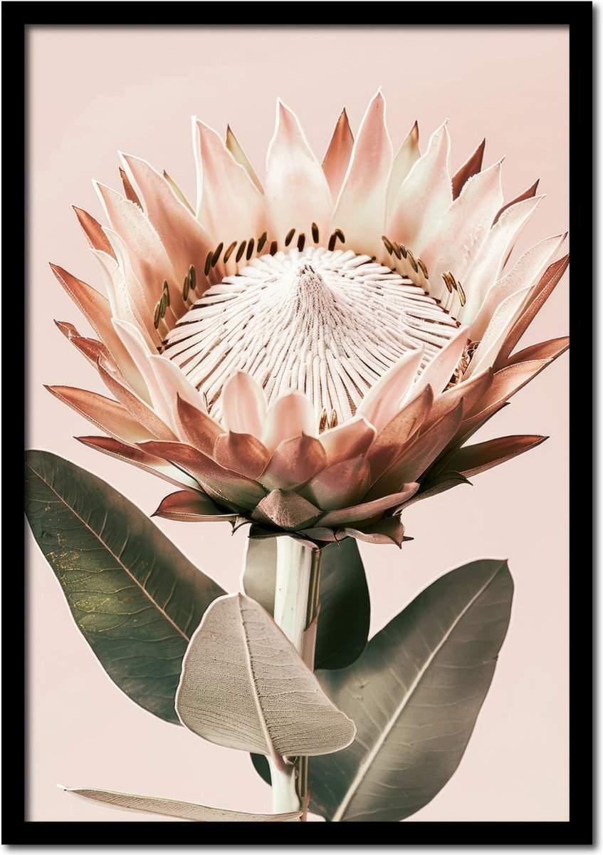 Plakkers Poster bloeiende roze bloem met pastelroze achtergrond - 21cm x 30cm a4 - vintage - woonkamer - slaapkamer - bloemen posters - goedkoop - muurposter - natuur - wanddecoratie Full-colour