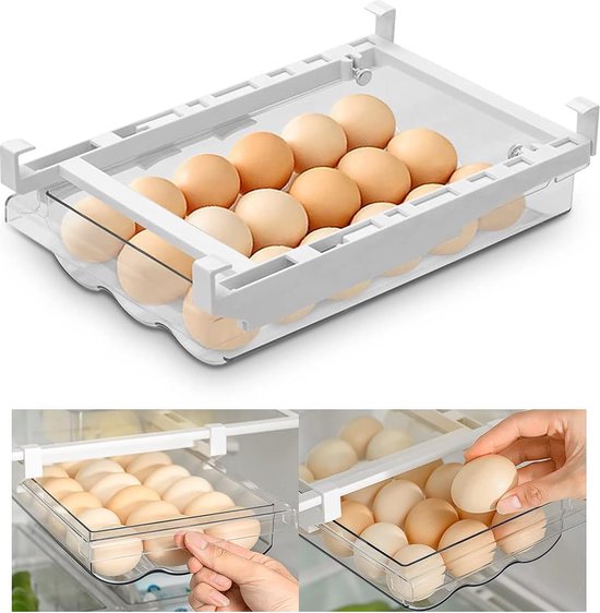 Nobby Eierbox – Stabiler Eieraufbewahrer Für 12 Eier Mit Tragegriff, 20 X 19 X 7,5 Cm, Aus Robustem Kunststoff