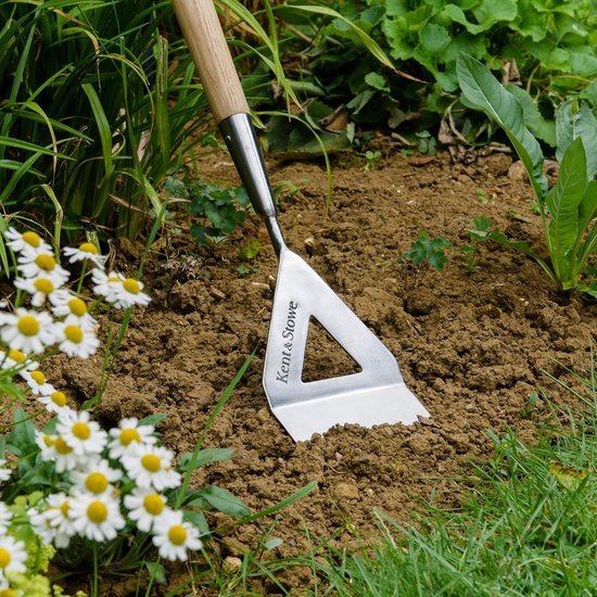 Tuinhak van roestvrij staal voor het duwen en trein wieden onkruidjager