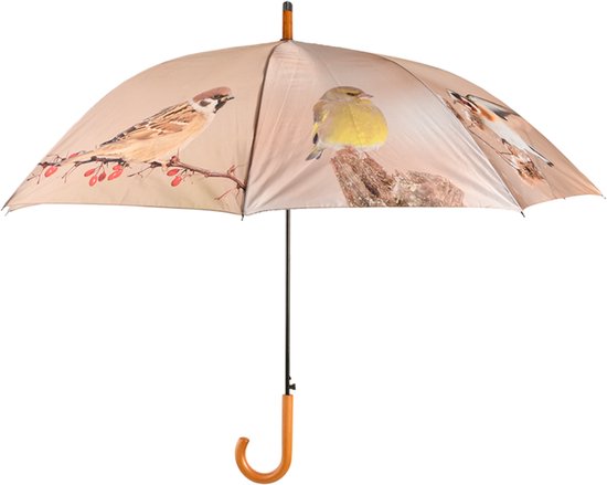 Parapluie avec oiseaux, merle, mésange bleue, pinson, chardonneret, verdier, moineau, rouge-gorge et mésange charbonnière