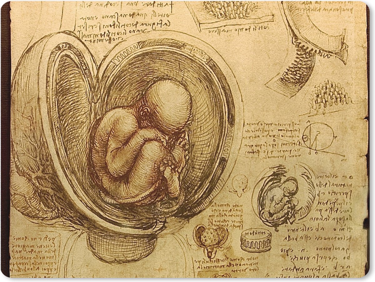 Muismat XXL 80x60 cm - Bureau onderlegger - Bureau mat Baby in the womb - Leonardo da Vinci - Bureaumat - Gaming mousepad xl - Bureaulegger groot - Computer deskmat