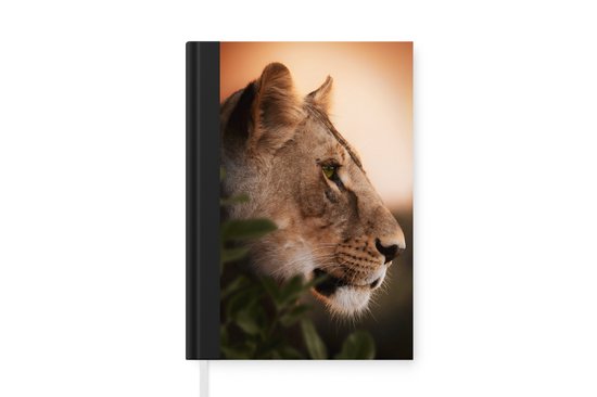Carnet - Carnet d'écriture - Lion - Jungle - Oranje - Petit carnet - Format A5 - Bloc-notes