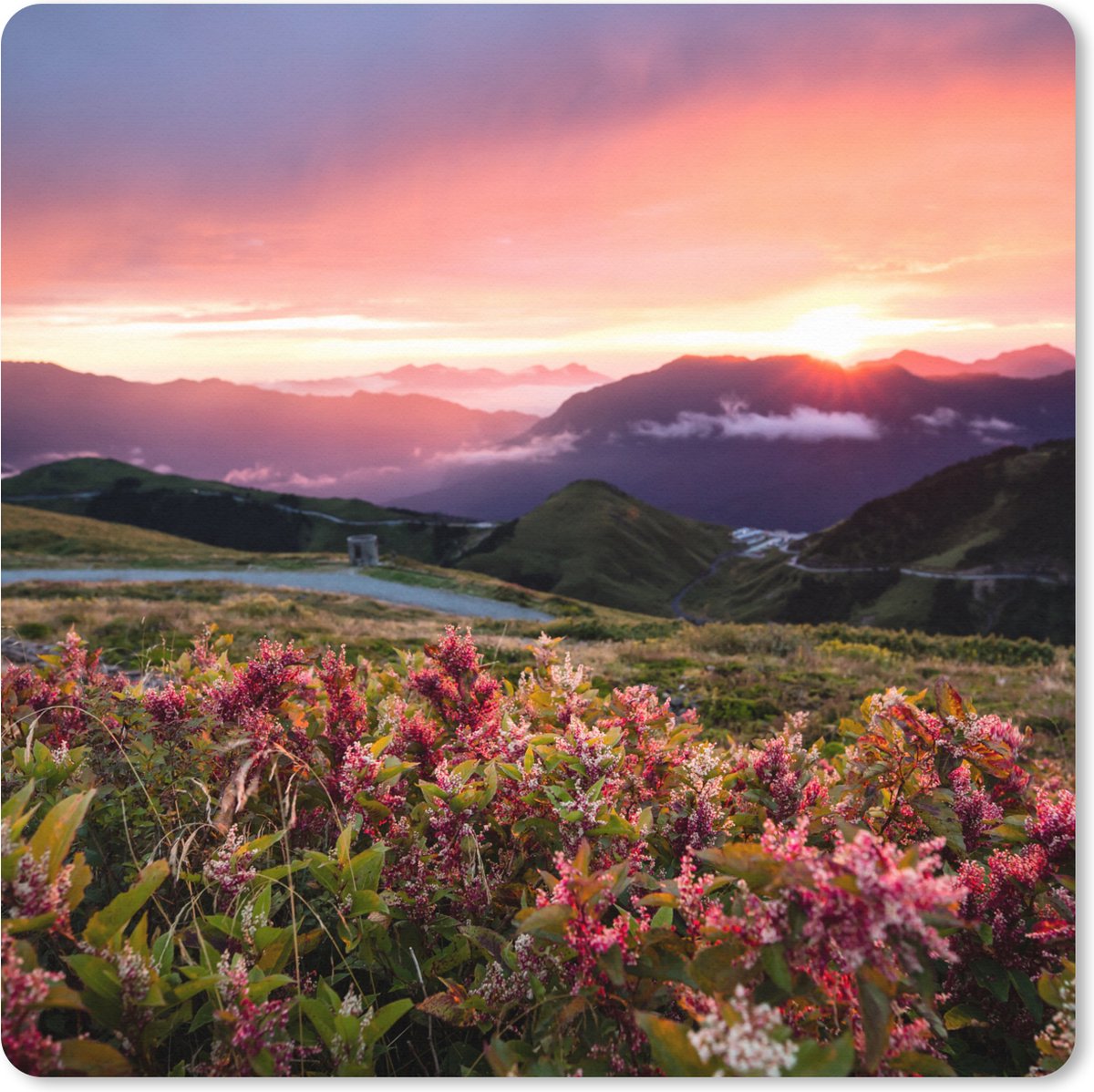 Muismat XXL 80x80 cm - Bureau onderlegger - Bureau mat Bloemen - Bergen - Landschap - Nacht - Lucht - Roze - Bureaumat - Gaming mousepad xl - Bureaulegger groot - Computer deskmat