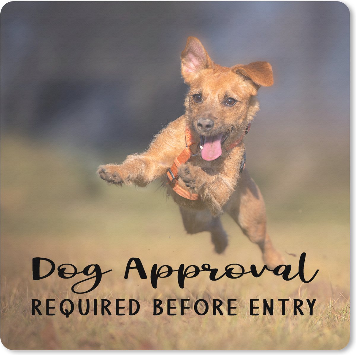 Muismat XXL 60x60 cm - Bureau onderlegger - Bureau mat Quotes - Hond - Spreuken - Dog approval required before entry - Bureaumat - Gaming mousepad xl - Bureaulegger groot - Computer deskmat