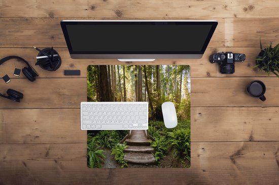 Tapis de souris XXL - Sous-main - Tapis de bureau - Jungle - Nature - Escaliers - Arbres - 50x50 cm - Tapis de souris XXL