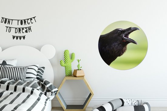 Représentation d'un corbeau qui chante Assiette en plastique cercle mural ⌀ 60 cm - impression photo sur cercle mural / cercle vivant (décoration murale)