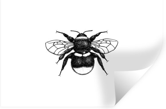 Getekend Insect Muurstickers - Sticker Folie - Hommel - Botanisch - Retro - Insecten ...