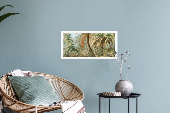 Stickers muraux Muraux - Filicinae - Vintage - Maîtres Anciens - Fougères - 40x20 cm - Film Adhésif