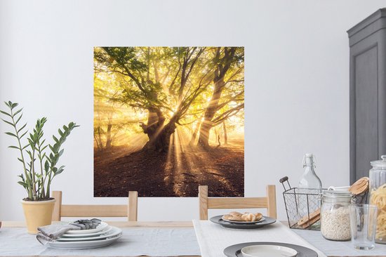 Stickers muraux - Arbre - Forêt - Soleil - 100x100 cm - Film adhésif XXL
