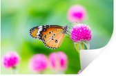 Muurstickers - Sticker Folie - Landelijk - Vlinder - Distel - Bloem - 30x20 cm - Plakfolie - Muurstickers Kinderkamer - Zelfklevend Behang - Zelfklevend behangpapier - Stickerfolie