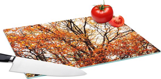Glazen Snijplank - 39x28 - Bos - Herfst - Seizoenen - Snijplanken Glas