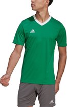 Adidas Sport T-Shirt Ent22 Jsy Teagrn/W - Sportwear - Adulte