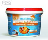 BSI - Alkalinity Up - verhoogt de alkaliniteit in w zwembad of spa - Gaat pH-schommeingen in water tegen - 5 kg