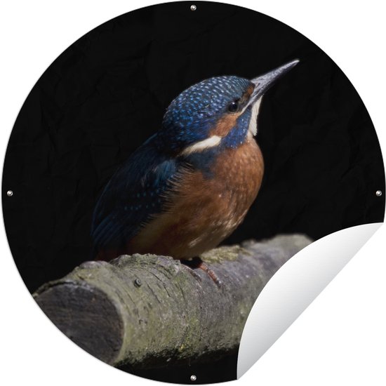 Affiche de jardin ronde Cutouts Animaux Holiday Auctions - Portrait d'un martin-pêcheur sur fond noir Affiche de jardin - Affiche de jardin ronde 150x150 cm - Toile de jardin / Toile d'extérieur / Peintures d'extérieur (décoration de jardin)