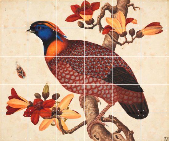 IXXI Temminck's Tragopan - Wanddecoratie - Dieren en insecten - 120 x 100 cm