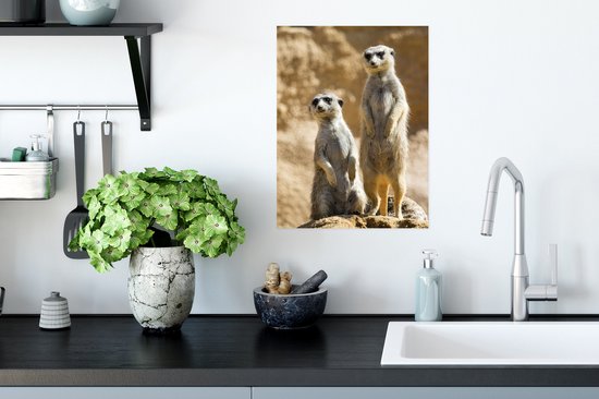 Deux suricates vigilants sur un rocher Poster 30x40 cm - petit - Tirage photo sur Poster (décoration murale salon / chambre) / Poster Animaux sauvages