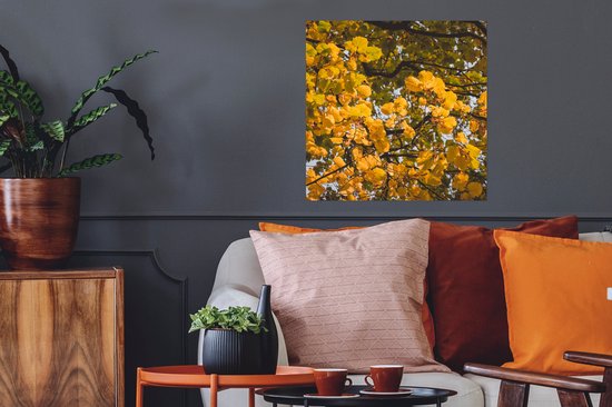 Affiche Feuilles - Arbre - Nature - Saisons - 50x50 cm