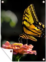 Tuinposter - Vlinder - Lente - Bloem - Zon - Tuindecoratie - 60x80 cm - Tuindoek