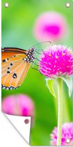 Tuinposter - Vlinder - Insecten - Bloemen - Fauna - Tuindecoratie - 40x80 cm - Tuindoek