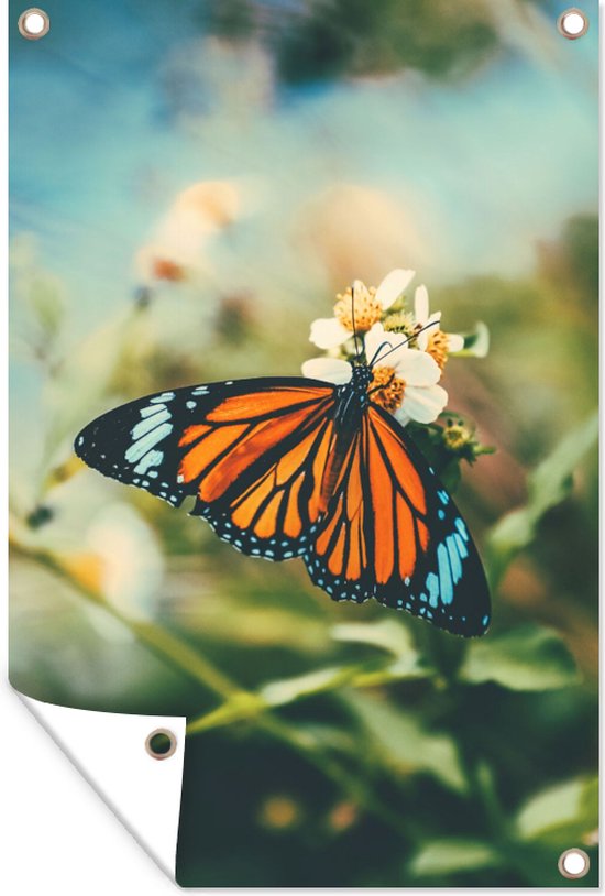 Tuinposter - Vlinder - Bloemen - Wit - Zon - Lente - Tuindoeken voor buiten - 60x90 cm - Tuindoek