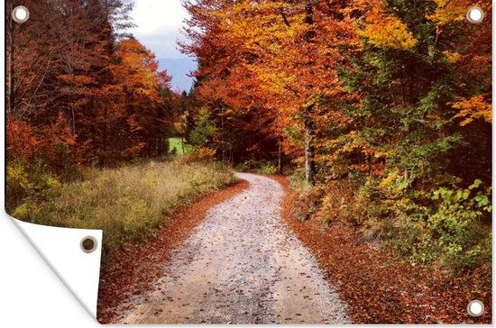 Affiche de jardin - Automne - Chemin - Forêt - Oranje - 60x40 cm - Toile de jardin - Peinture de jardin