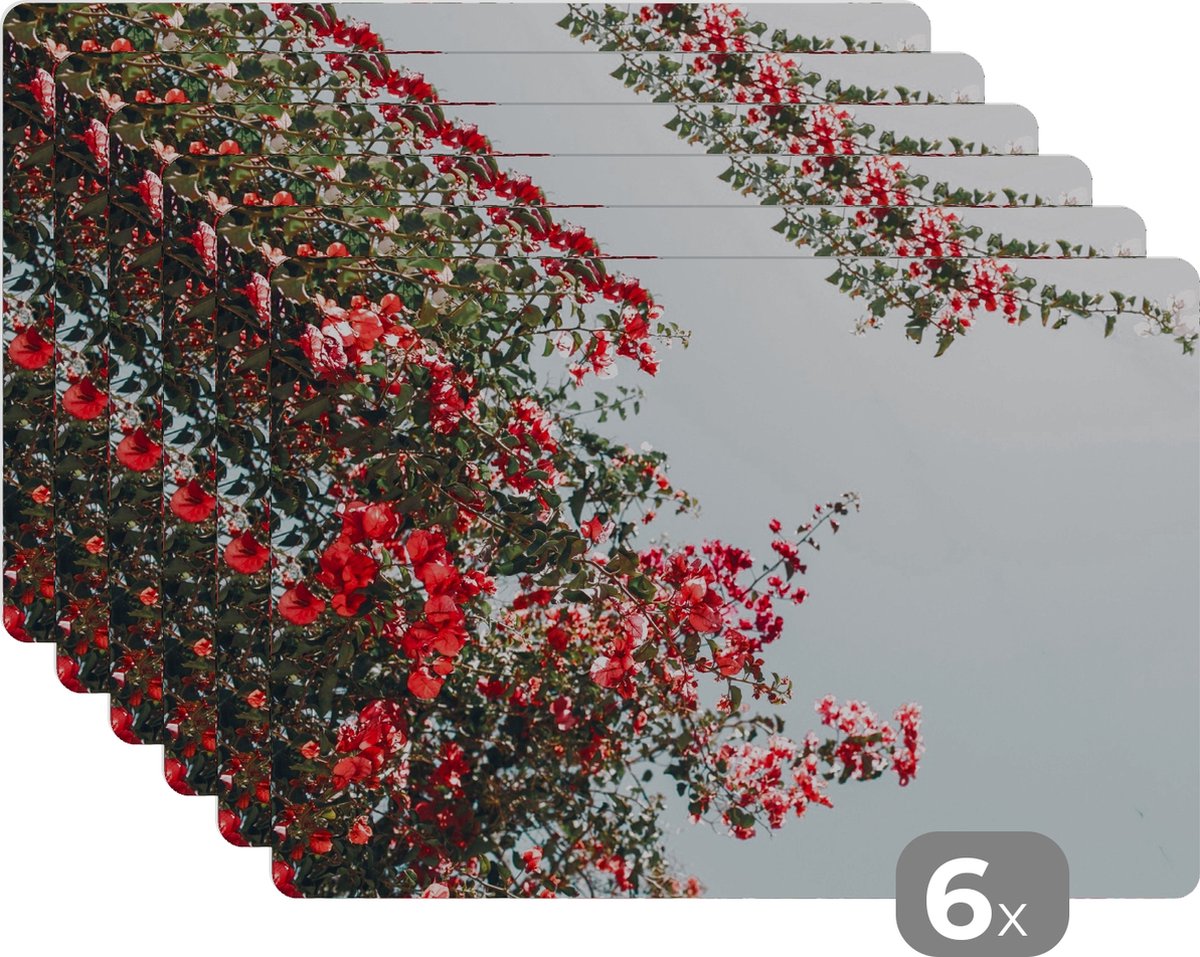 Placemats - Bloemen - Lucht - Roze - Bladeren - Onderlegger placemats - 45x30 cm - Placemat - 6 stuks