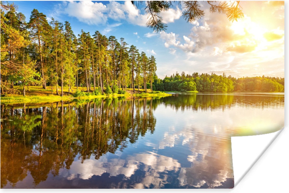 Poster Water - Bomen - Natuur - 90x60 cm