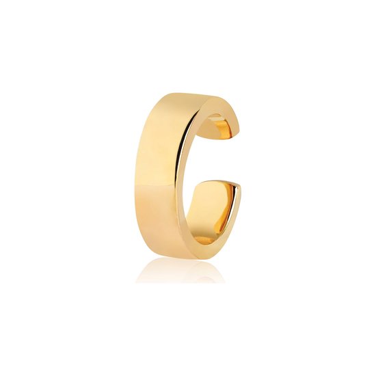 Foto: Go dutch label oorring hanging stars e0866 goud