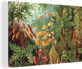 Tableau Peinture Design - Nature - Champignons - Ernst Haeckel - 120x80 cm - Décoration murale