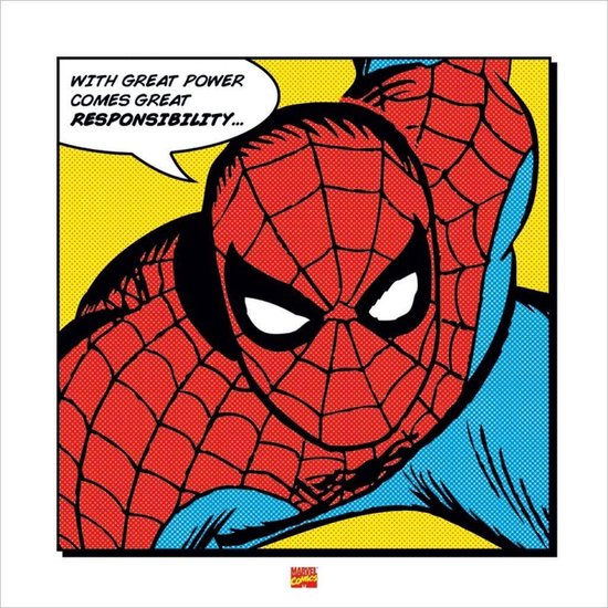 Spiderman With great Power Print 40x40cm