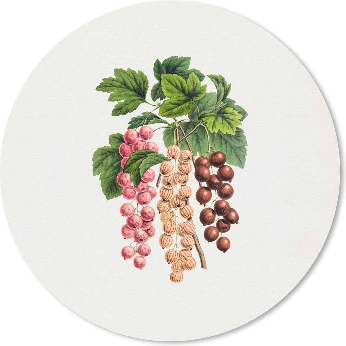Muismat rond 30x30 cm - Mousepad Fruit - Vintage - Bessen - Ronde muismatten