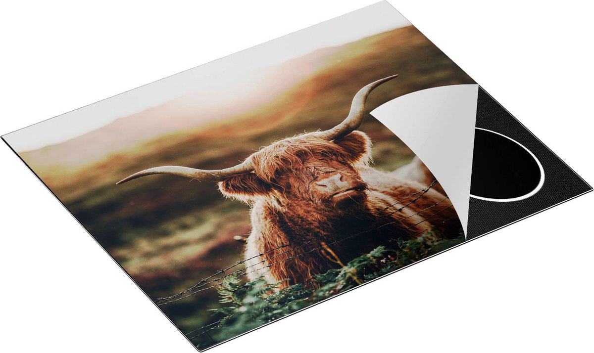 Chefcare Inductie Beschermer Schotse Hooglander Koe in de Zon - 65x50 cm - Afdekplaat Inductie - Kookplaat Beschermer - Inductie Mat