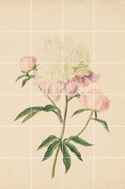 IXXI Pioenroos - Wanddecoratie - Bloemen en Planten -  120 x 80  cm