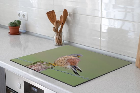 Een torenvalk zit op een houten paaltje met prikkeldraad, op een inductiekookplaat.